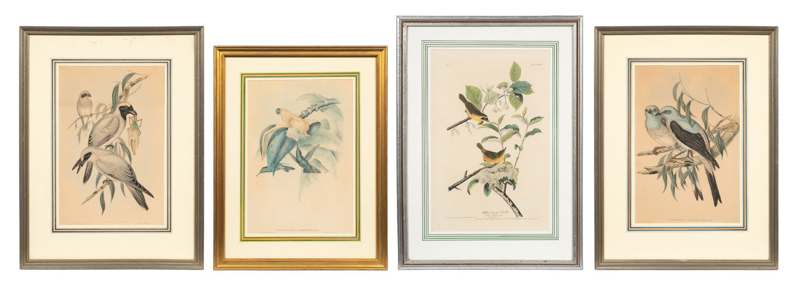 Lot of 4 Ornithological Prints - Audubon & Gould. (1 of 20)