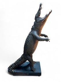 Large Taxidermy Alligator Umbrella Stand.