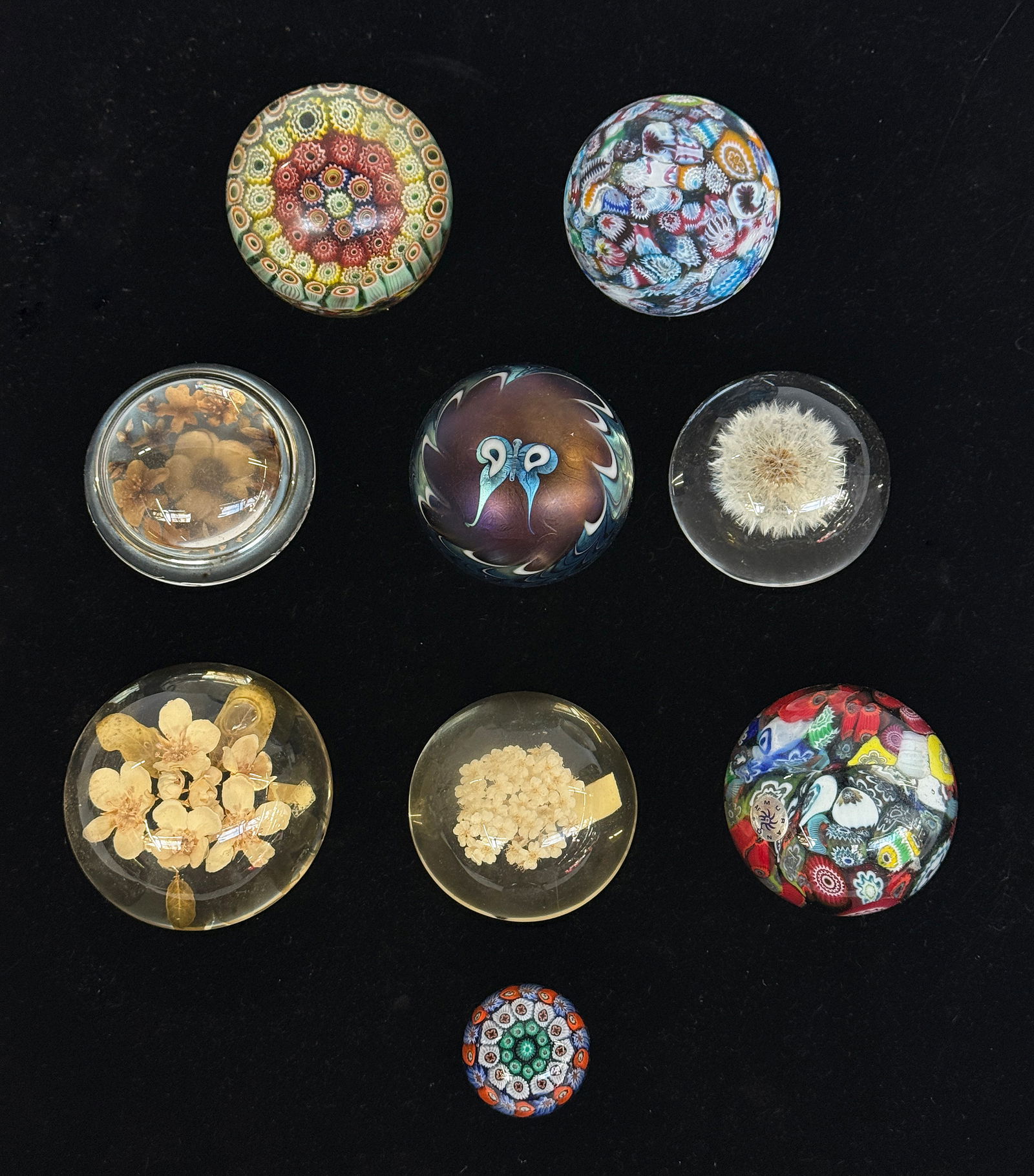 Lot of 9 Paperweights - Millefiori & Floral.: The lot includes 9 paperweights. First, there are 4 Murano glass Millefiori pieces, some possibly by James Hart. Next, there are 4 botanical pieces with real flowers, including a dandelion. One of the