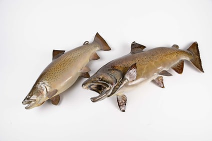 2 Salmon ? Fish Taxidermy Reproduction Wall Mounts