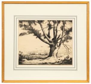 Great Pine, Etching by Keith Shaw Williams.