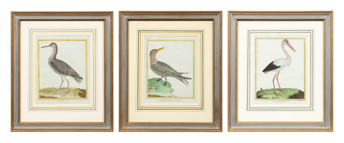 Three Prints from Histoire Naturelle des Oiseaux.