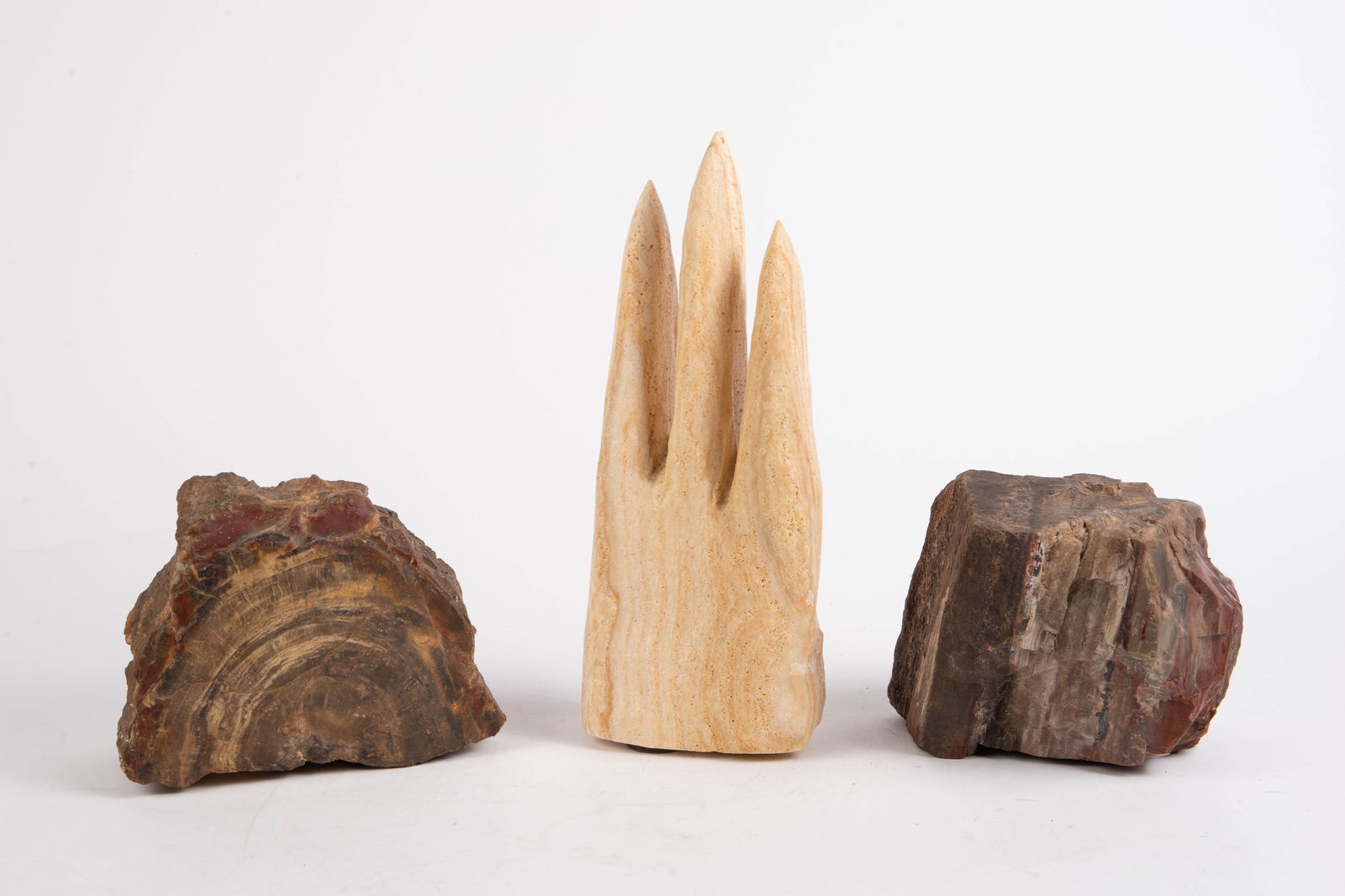 Lot: Stalactite & 2 Petrified Wood Slabs. (1 of 4)