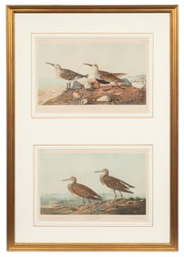 Lithographs of Sandpipers, J. Bien Edition Audubon