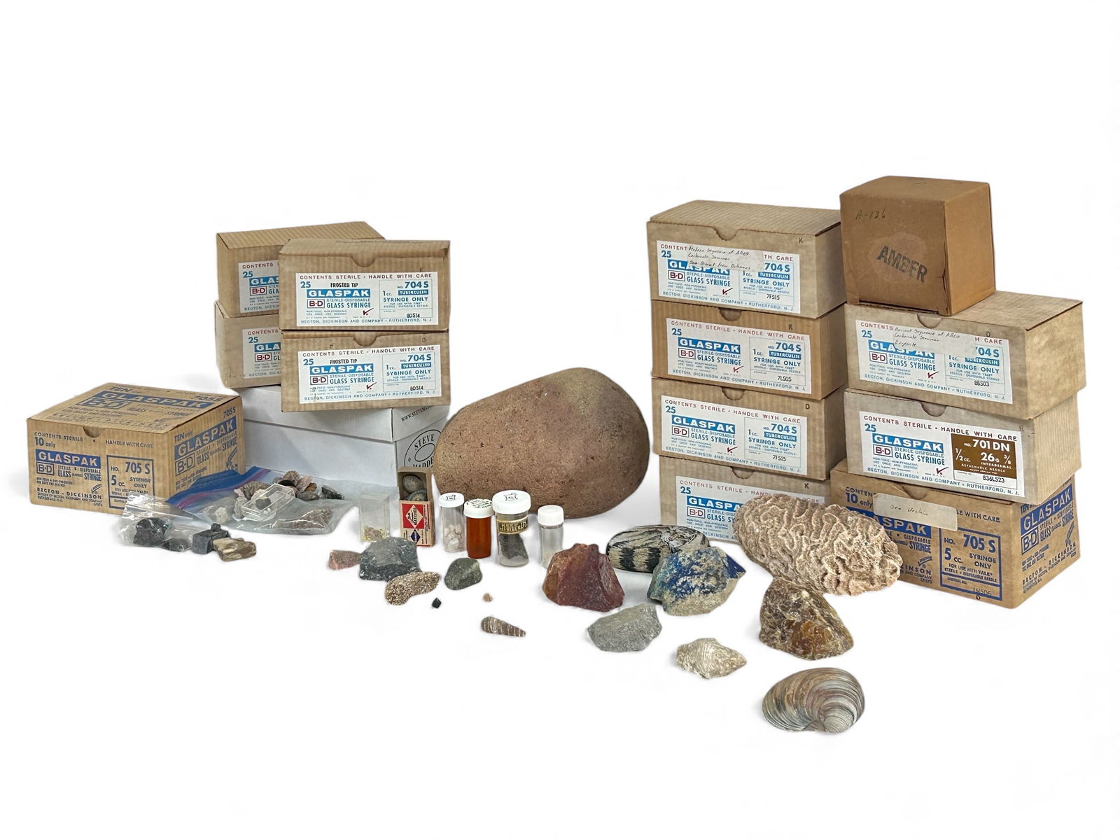 Lot: Coral Fossil, Sea Shells, Quartz & Minerals. (1 of 18)