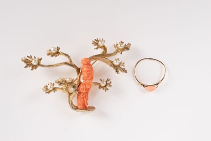 Swoboda Carved Coral Brooch & 10K Gold Ring.