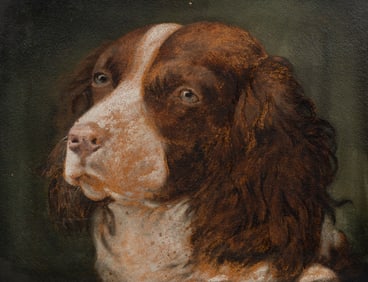 Painting of English Springer Spaniel, Burt.