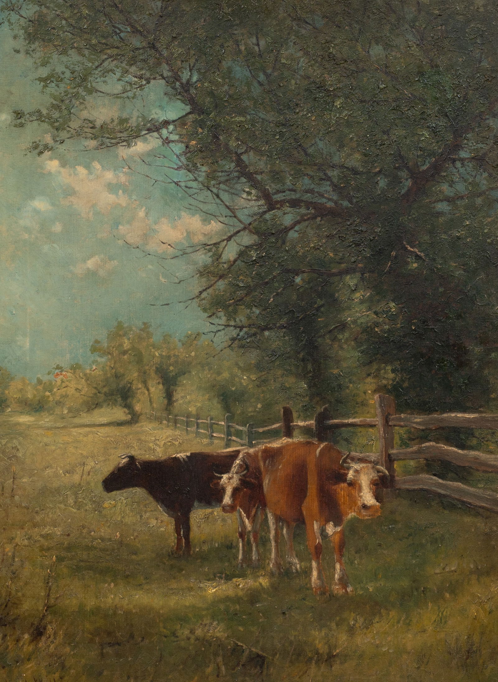 Cows in the Field, Harry Fluhart-Williams. (1 of 5)