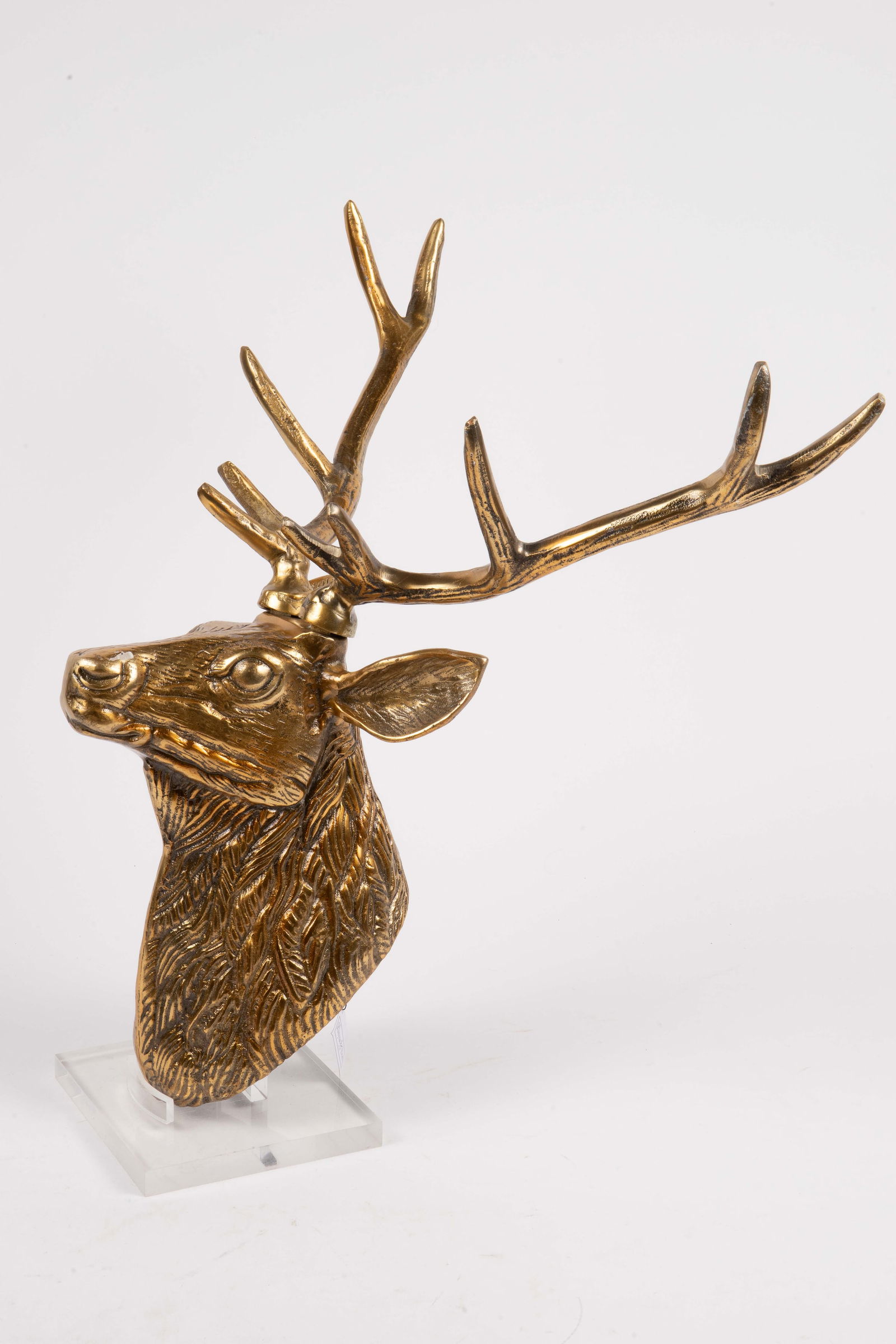 Brass Deer Head Wall Mount. - 2
