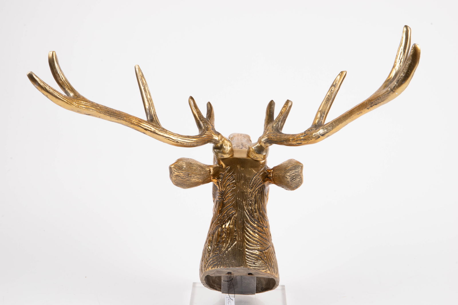 Brass Deer Head Wall Mount. - 3