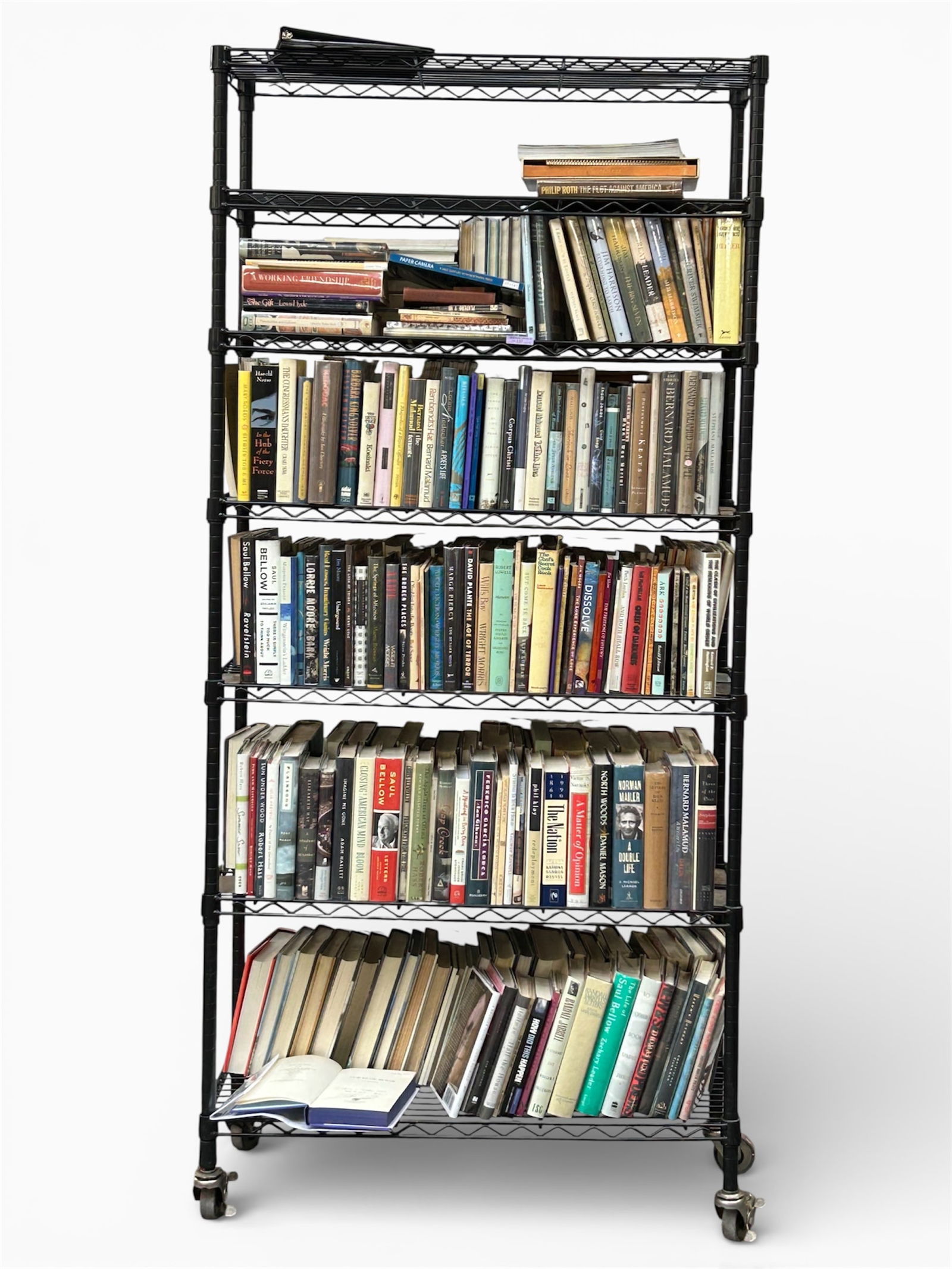 Over 330 Books: Novels, Poetry, Biographies, Etc. (1 of 17)