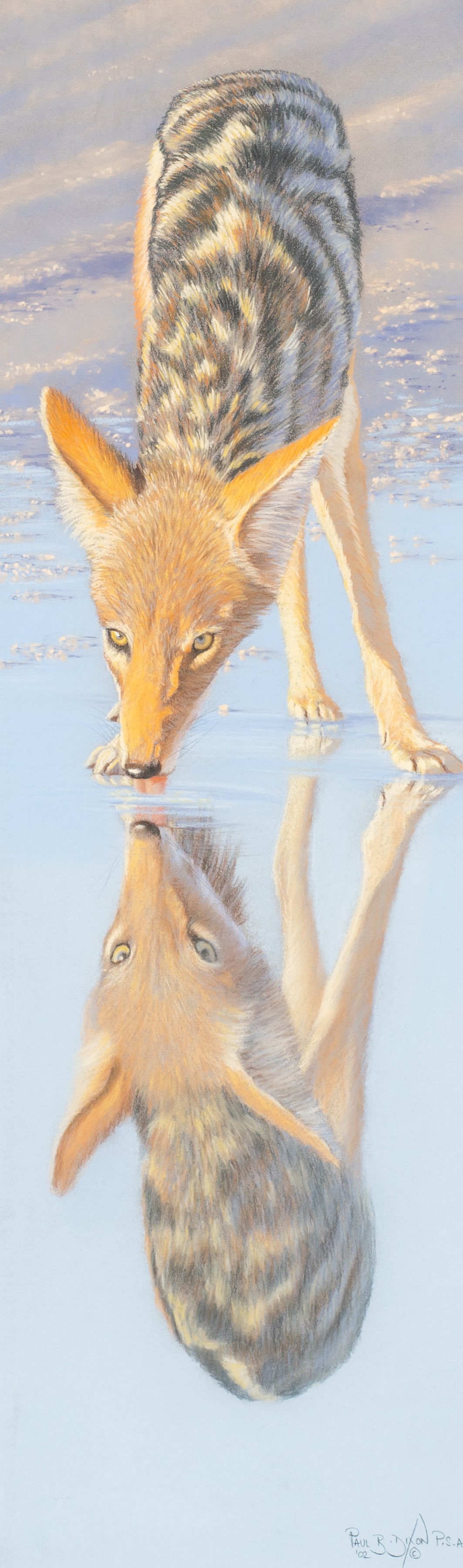 Black-backed Jackal, Pastel by Paul Dixon.: Artist(s): Paul B. Dixon (British, b. 1956). Medium: Pastel drawing on paper. Signature(s): Signed lower right. Dated from 2002. Paperwork/Provenance: N/A Condition: No visible signs of damage to the