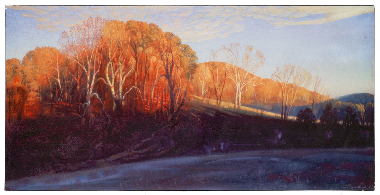 Sycamorum, Giclee Print After Bryan Dawes Haynes. (1 of 5)