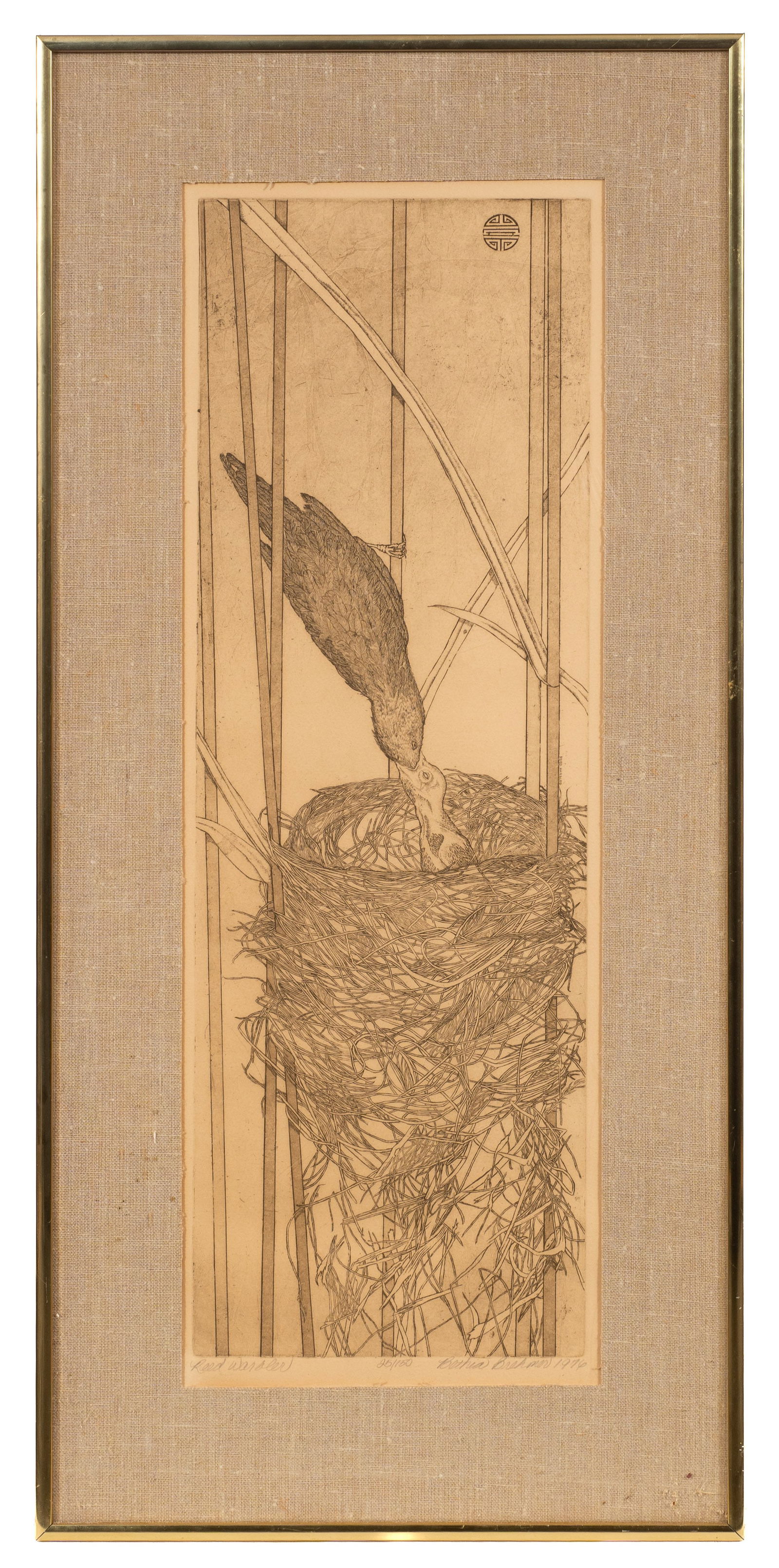 Bethia Brehmer Framed Etching, Reed Warbler. - 2