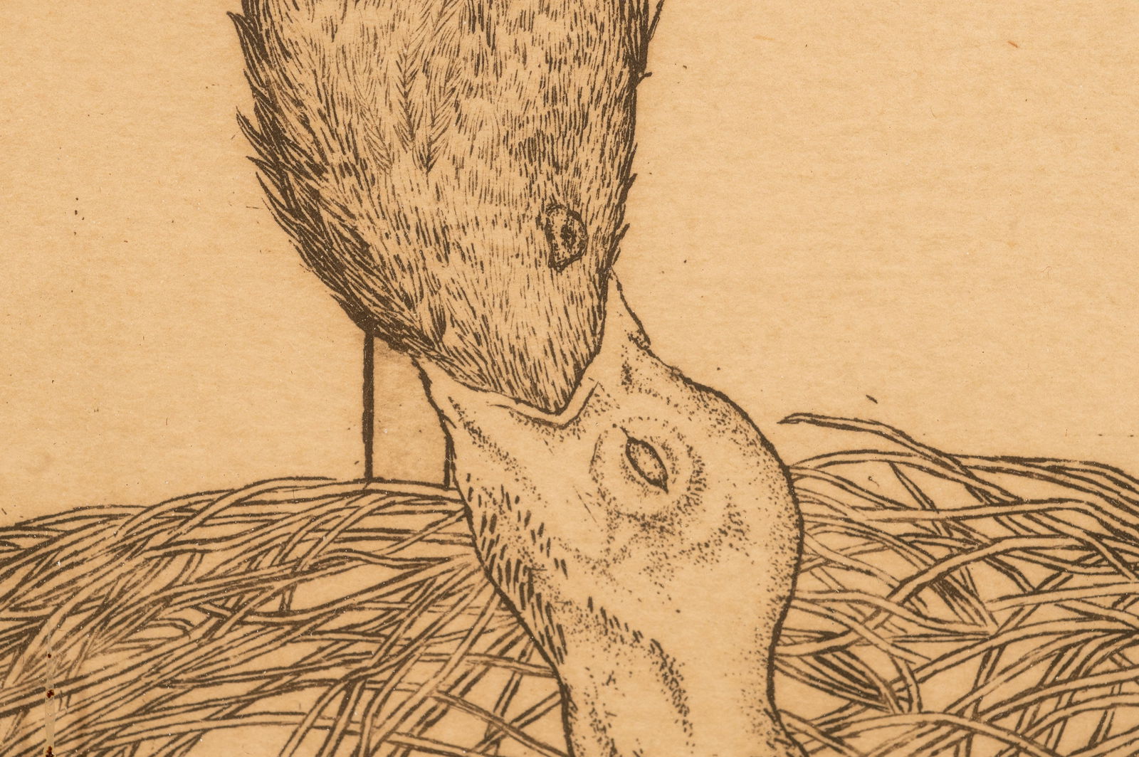 Bethia Brehmer Framed Etching, Reed Warbler. - 3