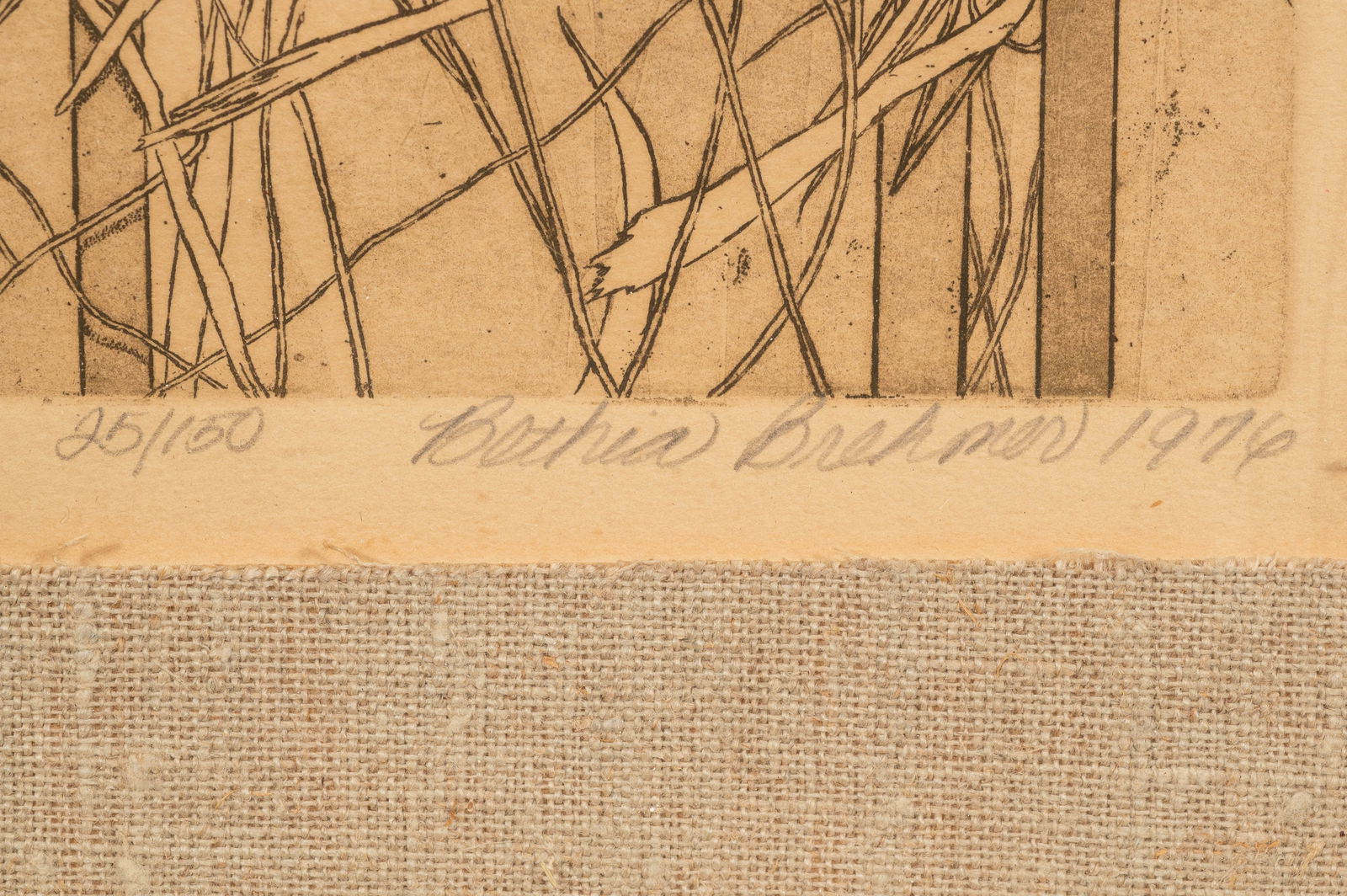 Bethia Brehmer Framed Etching, Reed Warbler. - 4