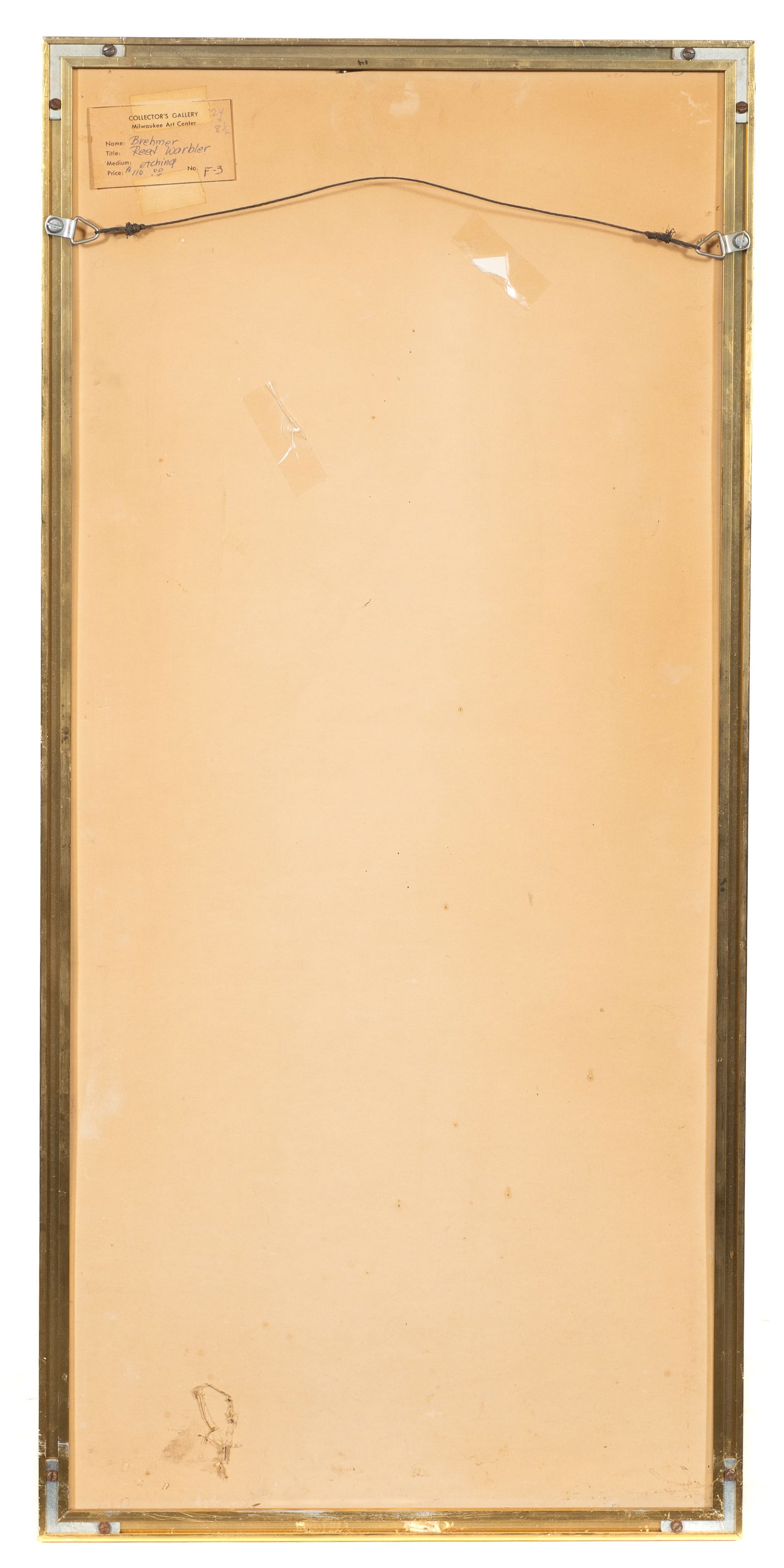 Bethia Brehmer Framed Etching, Reed Warbler. - 8