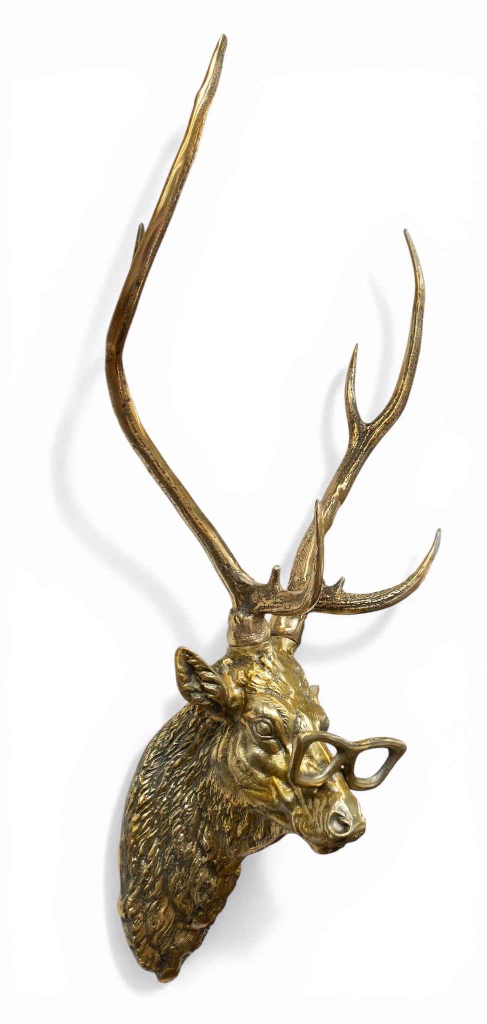 Bronze Metal Deer Bust with Glasses Wall Mount. (1 of 4)