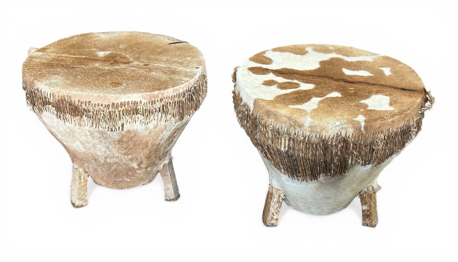 Pair of African Cowhide Drums or Drum Tables.: The pair of drums or drum tables each have 3 legs, and are wrapped in cowhide. Each piece measures 21 1/2" tall, and 26" in diameter. There are some tears and fur loss on the items. Otherwise, the lot