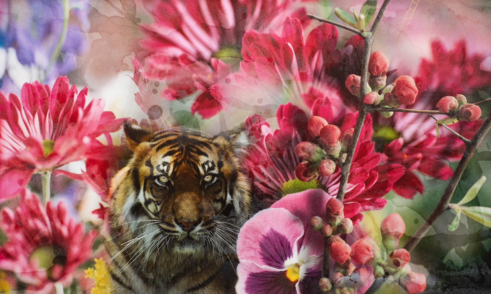 Very Lg. Mixed Media, Tiger & Flowers by Yankel Ginzburg (1 of 6)