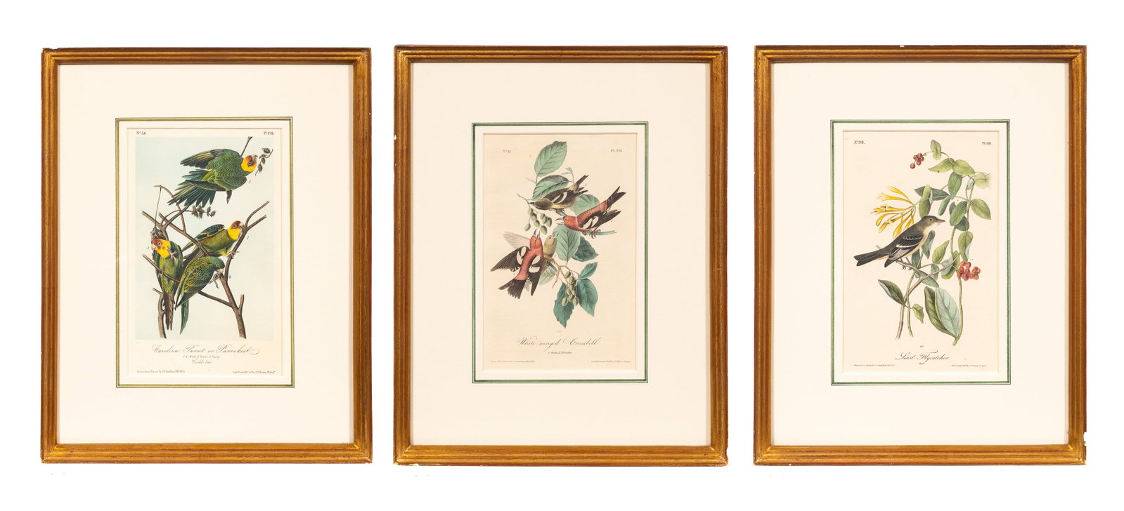 Three Audubon & Bowen Ornithological Lithographs. (1 of 15)