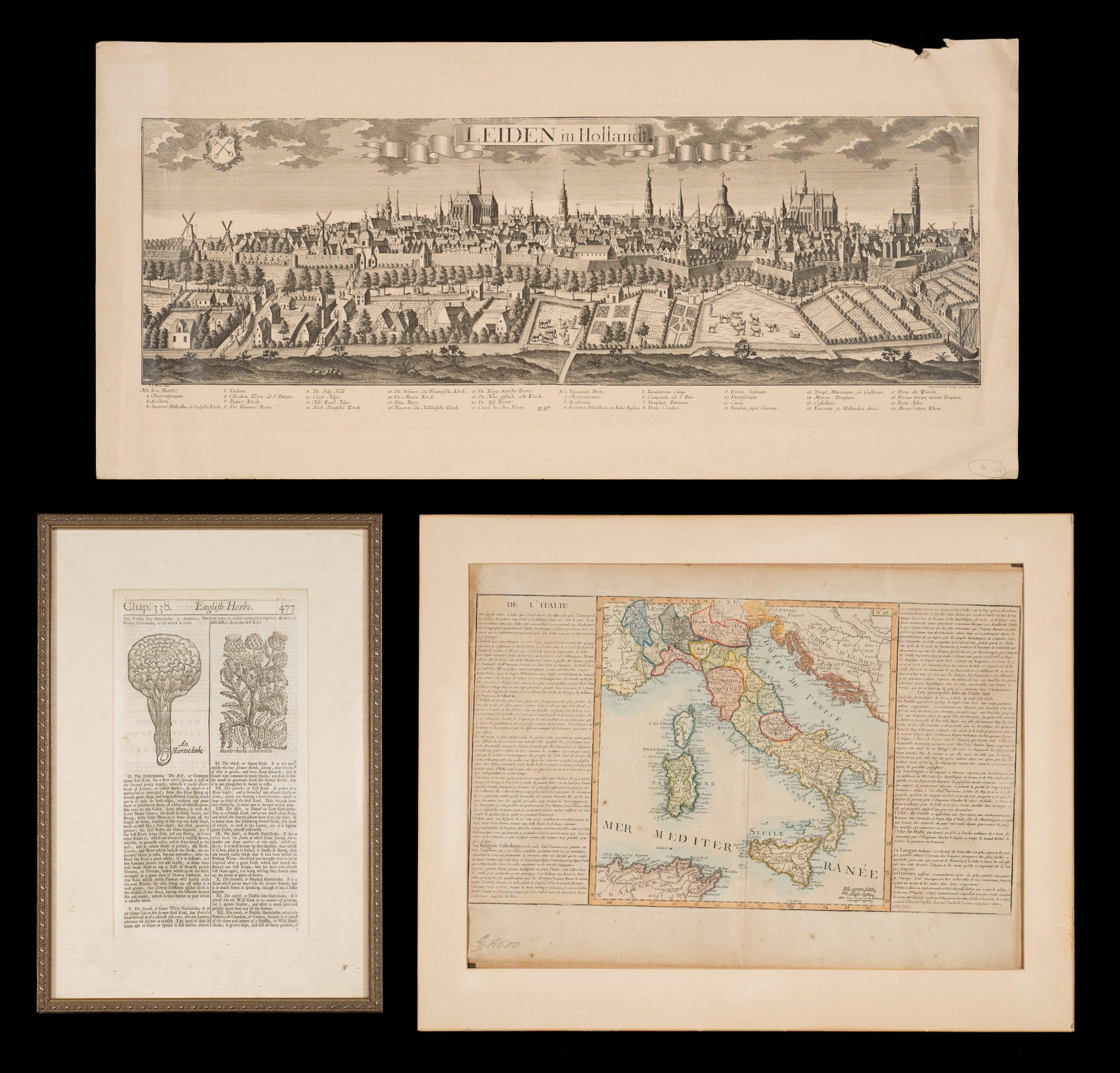 3 Pc. Lot - William Salmon, Johann F. Probst, etc.: This lot contains three antique pieces: a page on artichokes from William Salmon's "English Herbal or History of Plants", a pre-Napoleonic map of Italy (likely from Louis Brion de la Tour's Atlas Gene