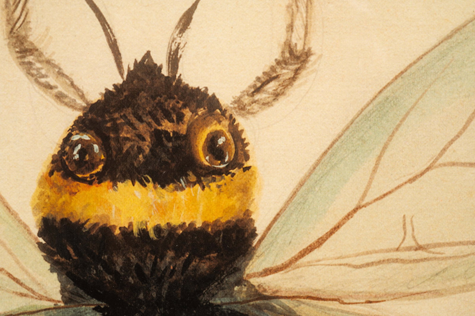 Six Kolene Spicher Insect Prints, Signed. - 10