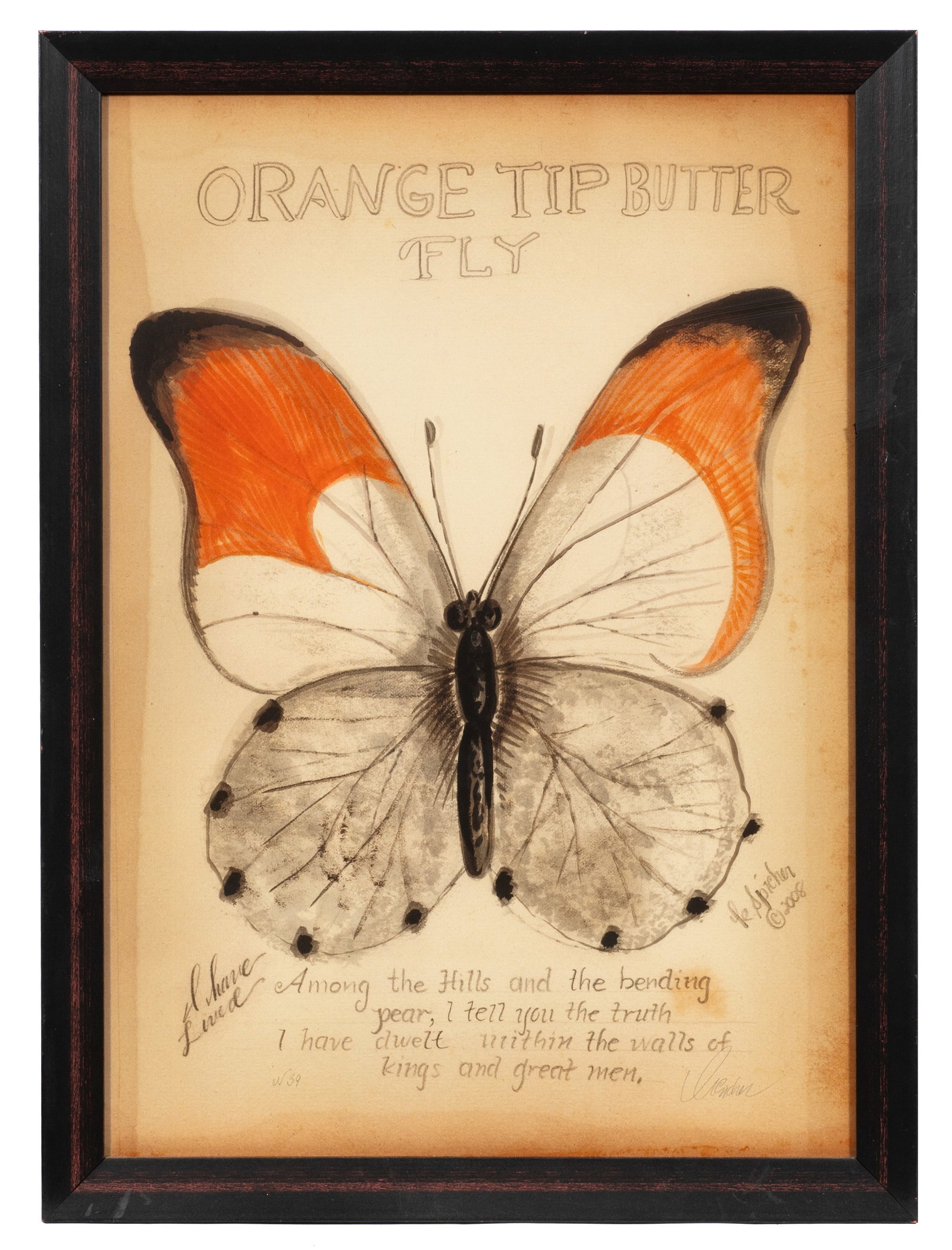 Six Kolene Spicher Insect Prints, Signed. - 13