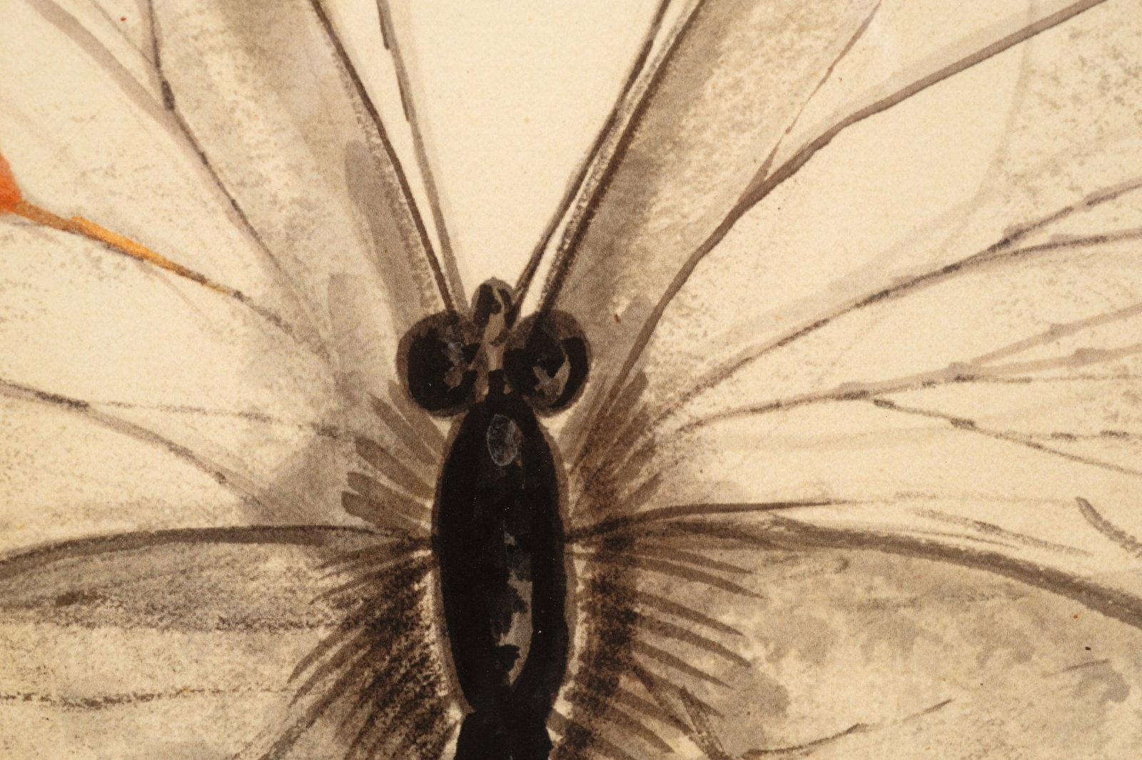 Six Kolene Spicher Insect Prints, Signed. - 14