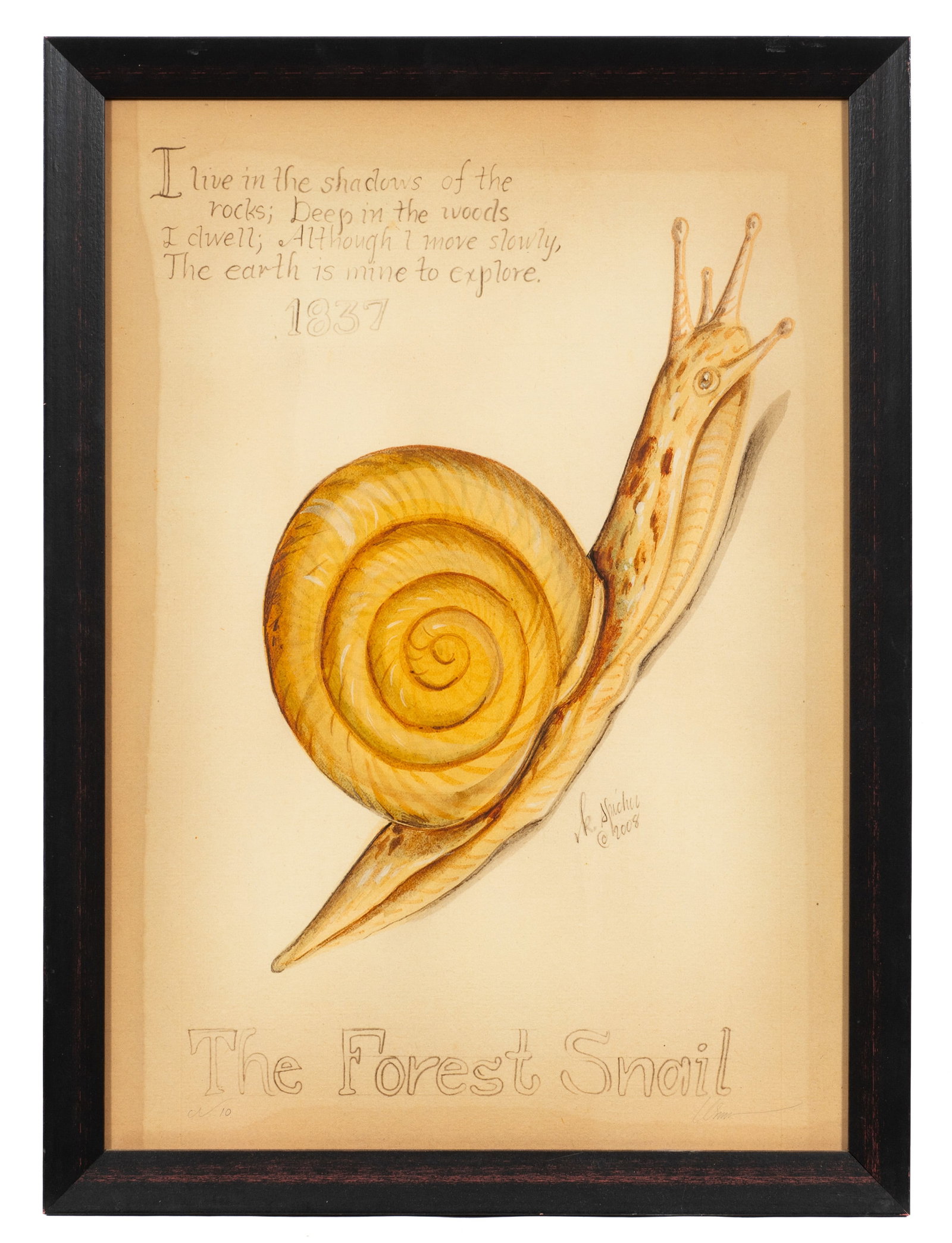 Six Kolene Spicher Insect Prints, Signed. - 16