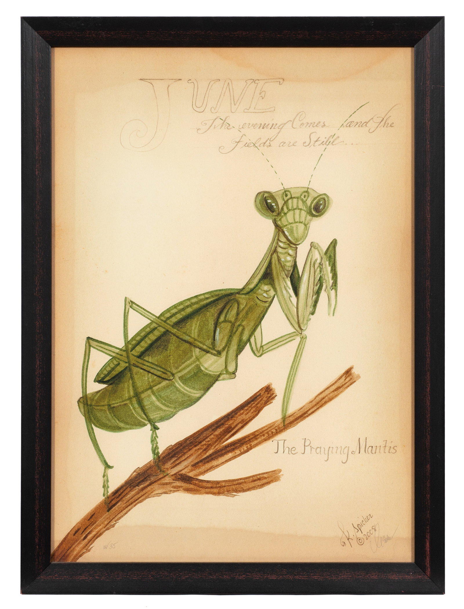 Six Kolene Spicher Insect Prints, Signed. - 19