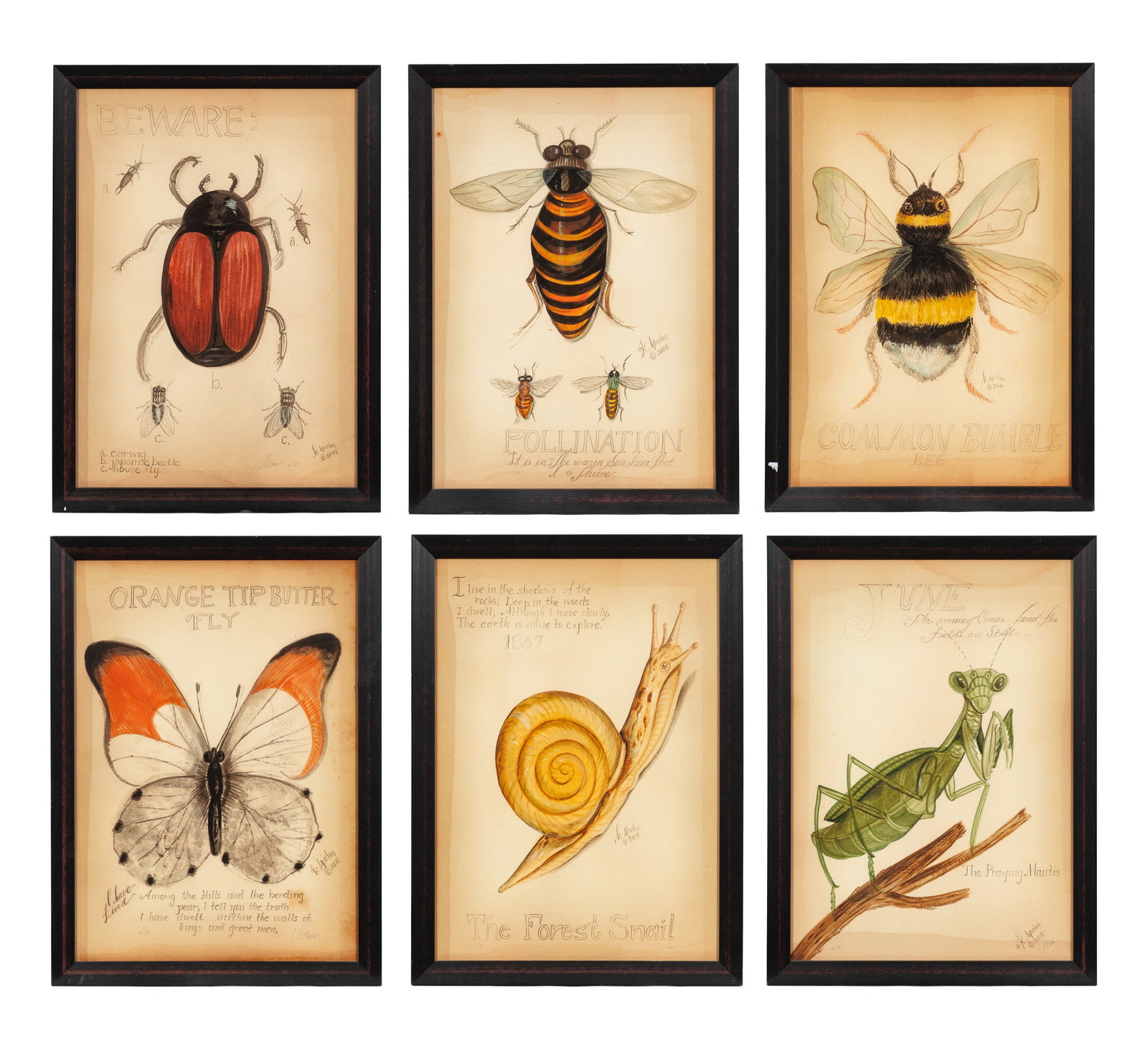 Six Kolene Spicher Insect Prints, Signed.: This lot contains six framed insect prints by Kolene Spicher (American, 1964-2022). Each have a pencil signature and a series number in their lower margins. Paperwork/Provenance: N/A Condition: The