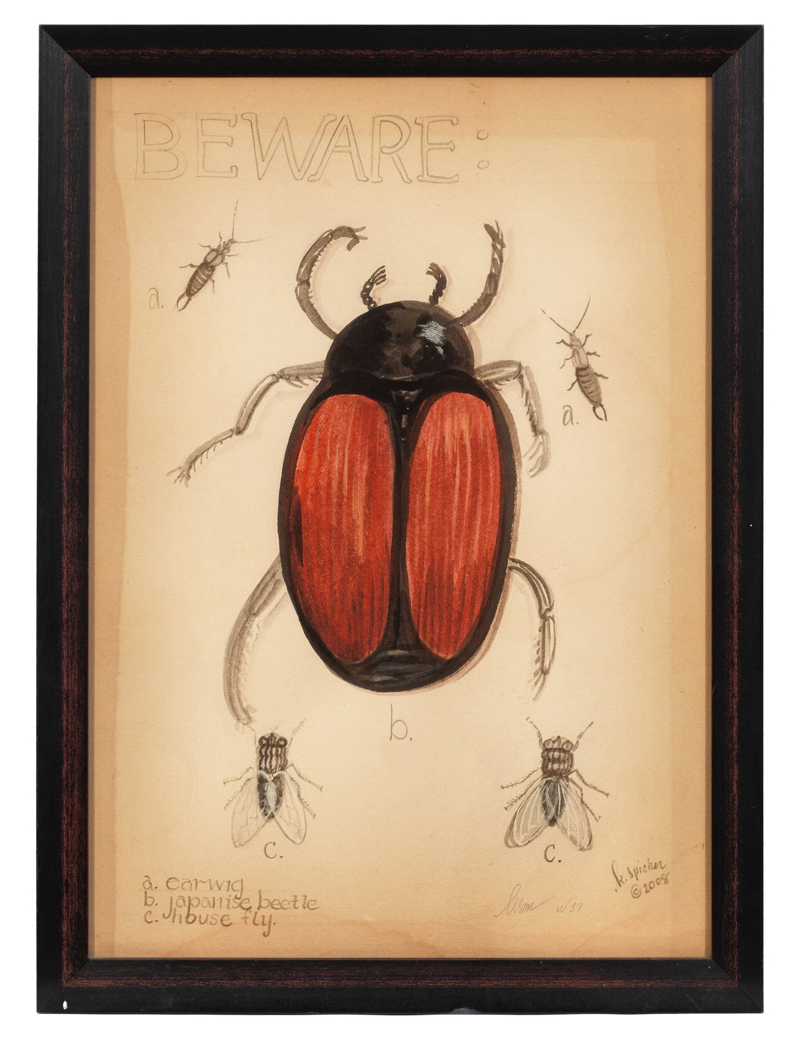 Six Kolene Spicher Insect Prints, Signed. - 2