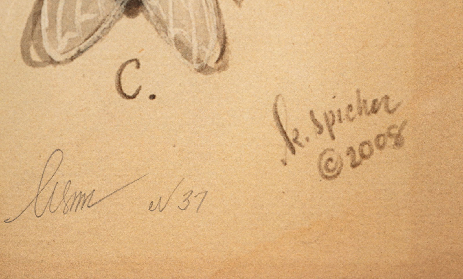 Six Kolene Spicher Insect Prints, Signed. - 4