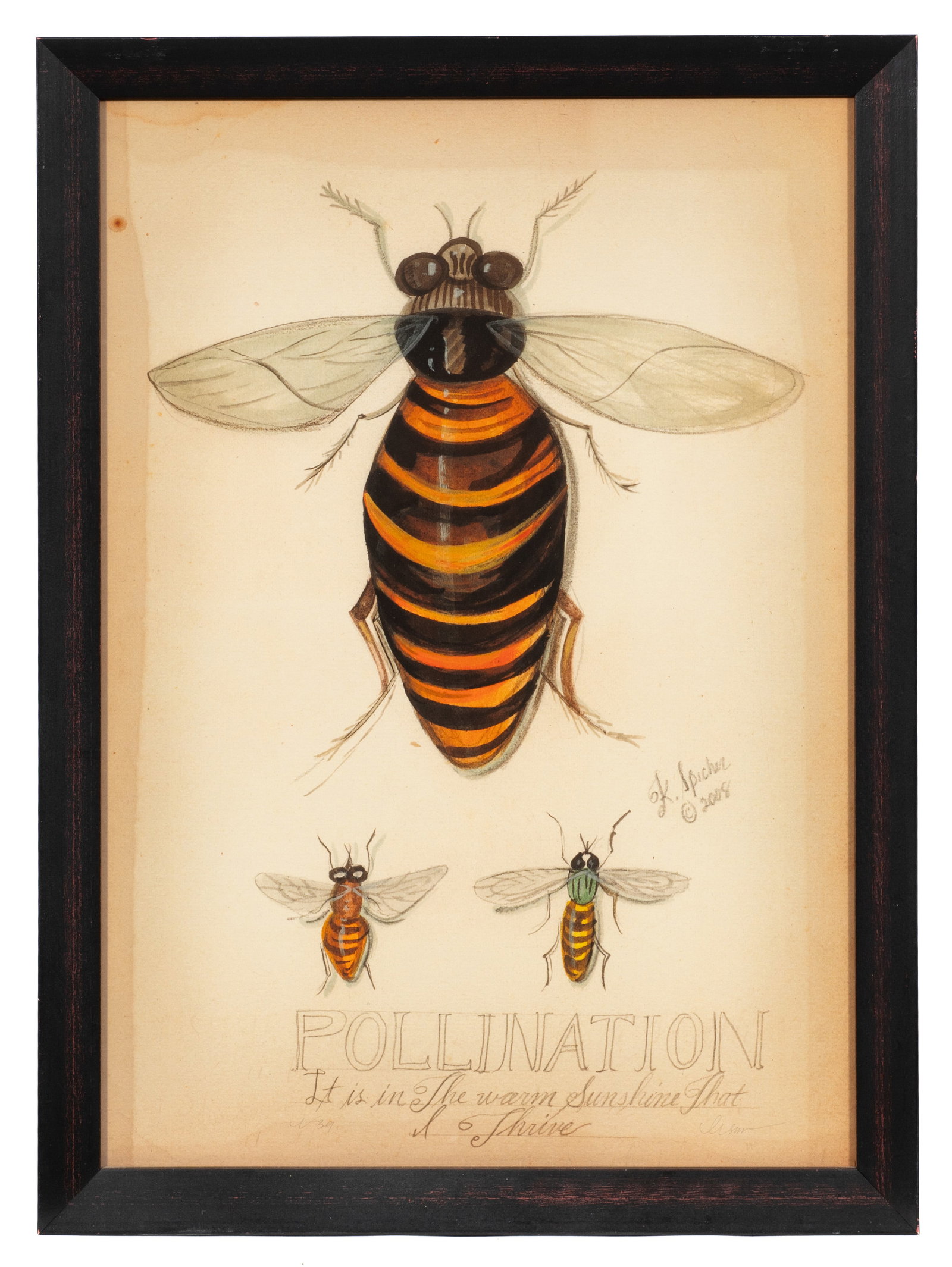 Six Kolene Spicher Insect Prints, Signed. - 5