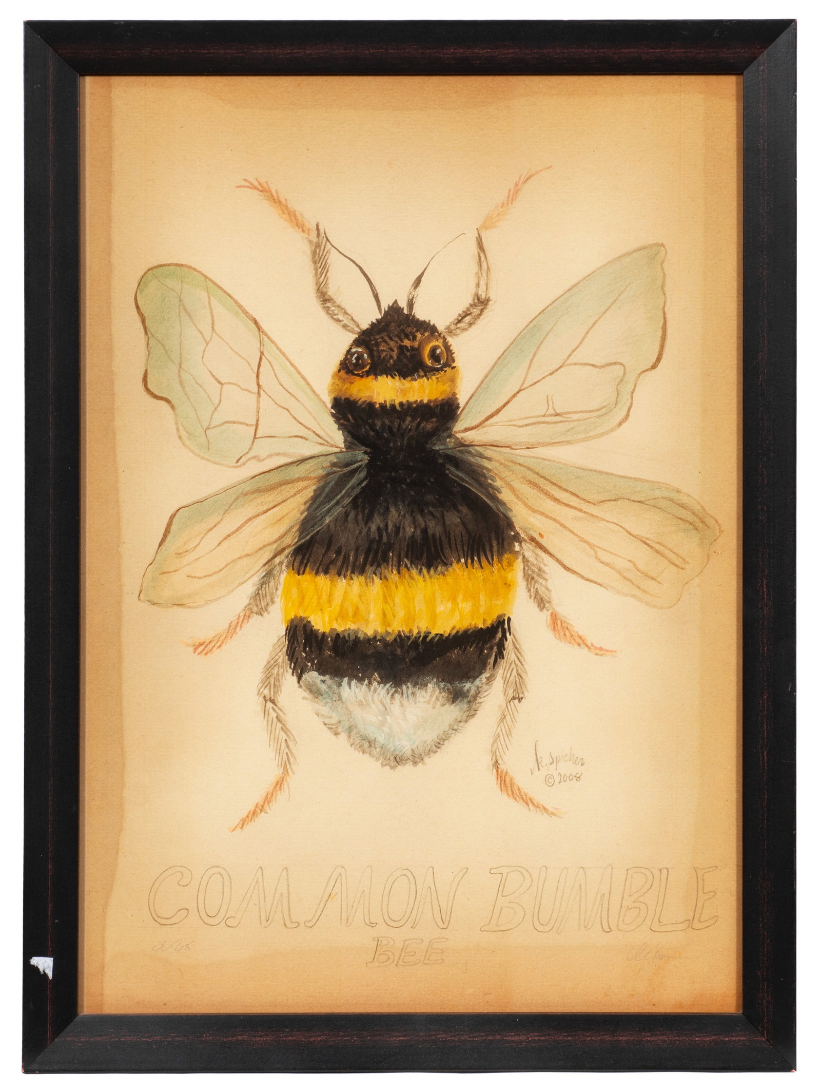 Six Kolene Spicher Insect Prints, Signed. - 9