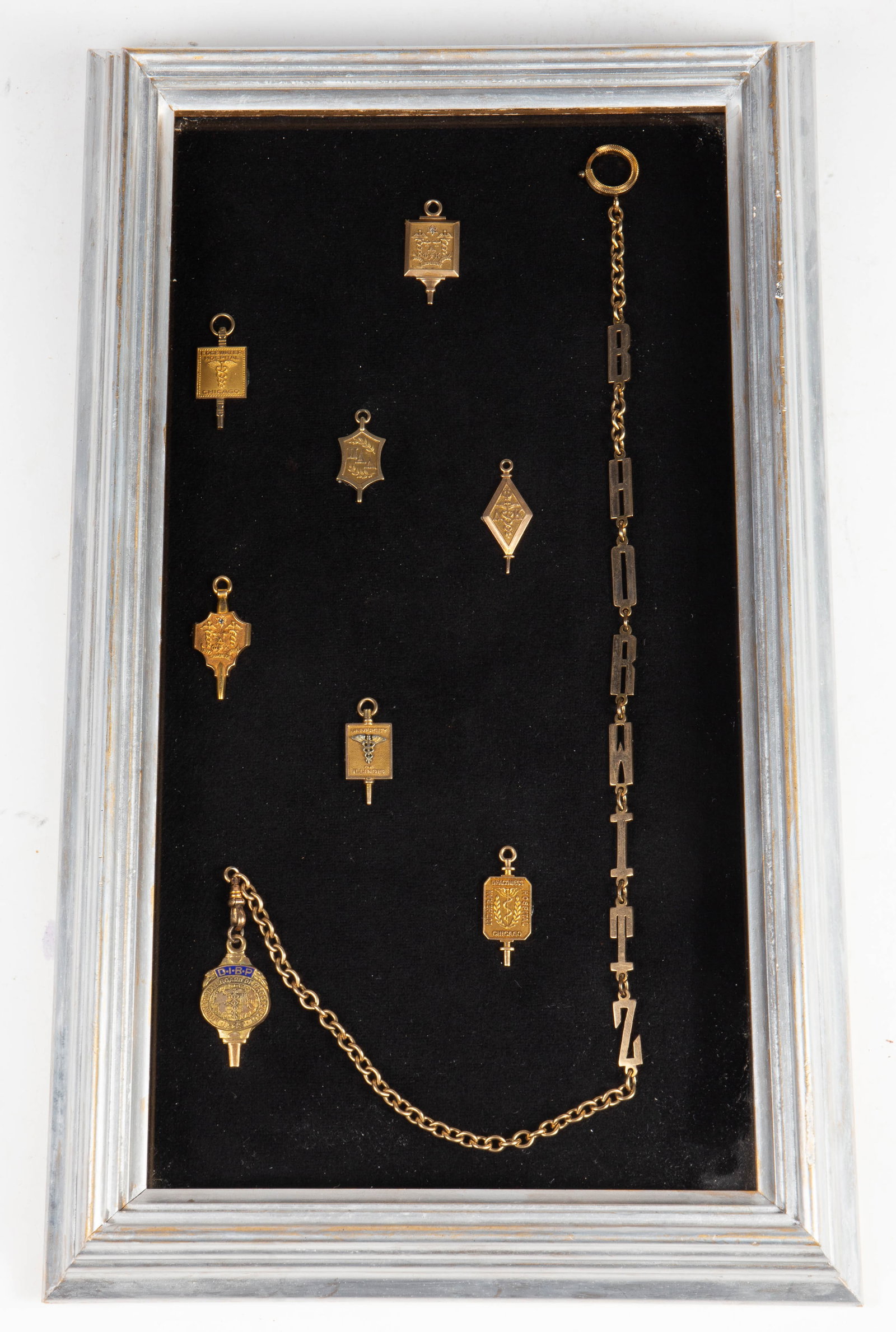 Display w/ Gold Filled Fraternal Charms, Watch Fob (1 of 6)