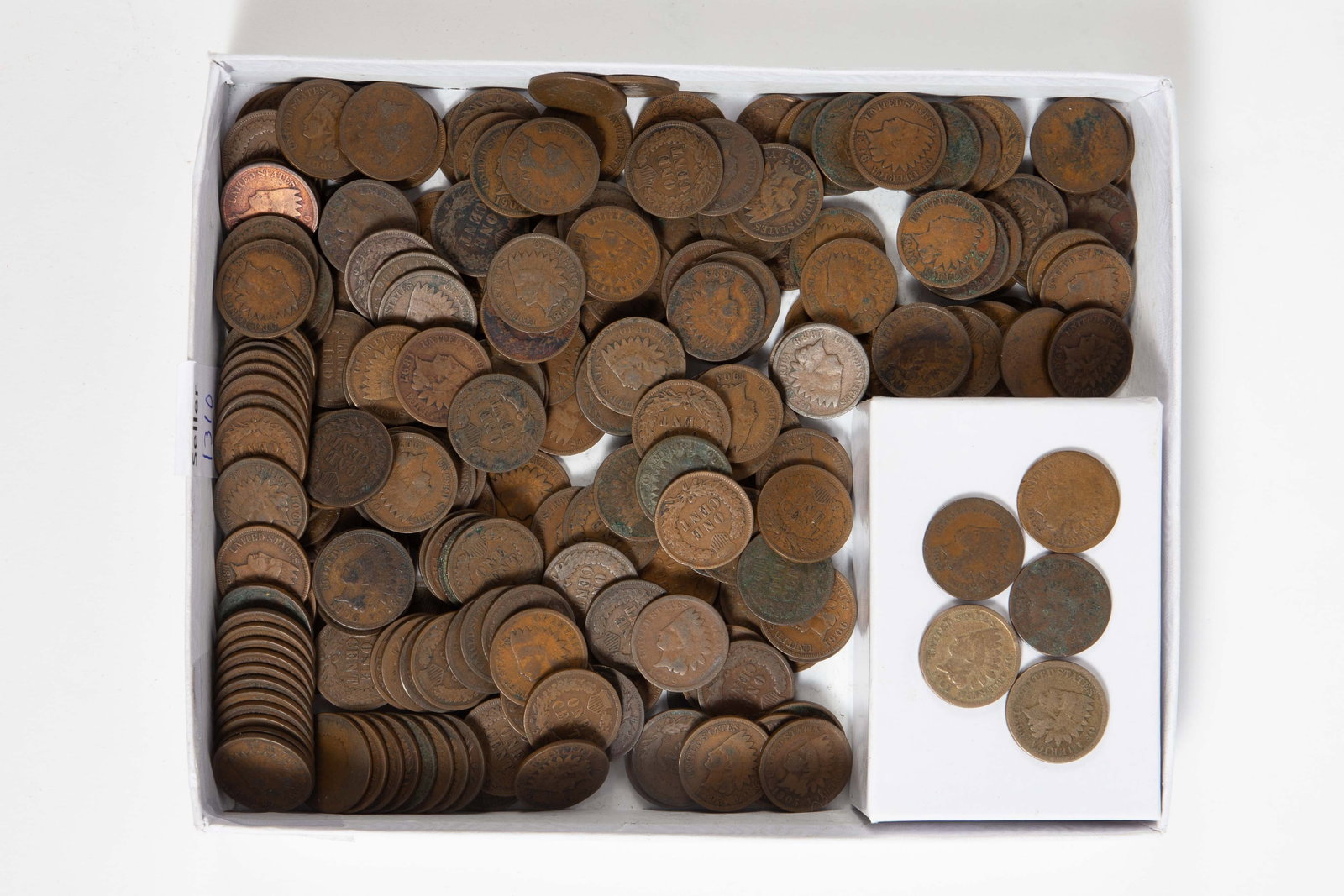 Lot of 231 Indian Head Pennies - Common Circulated (1 of 3)