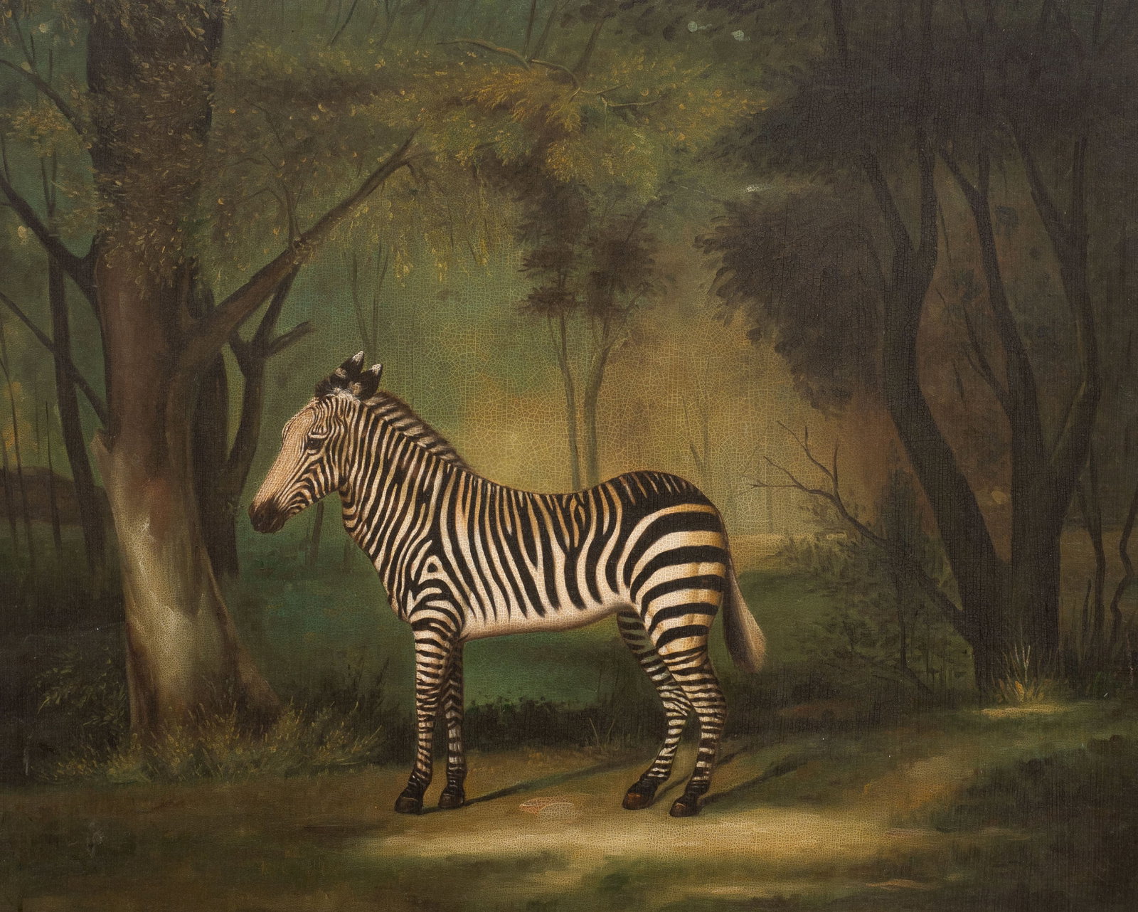 Chelsea House Reproduction, G. Stubbs' "A Zebra" (1 of 4)