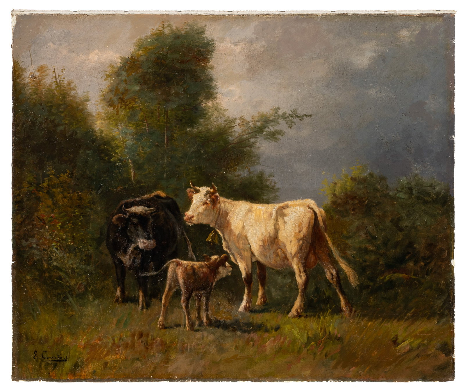Cows in the Pasture, Painting Sgd. E. Courtois.: Artist(s): E. Courtois (19th/20th Century). Medium: Oil painting on canvas. Signature(s): Lower left. Paperwork/Provenance: N/A Condition: Unframed. Has been trimmed and relined, has scattered