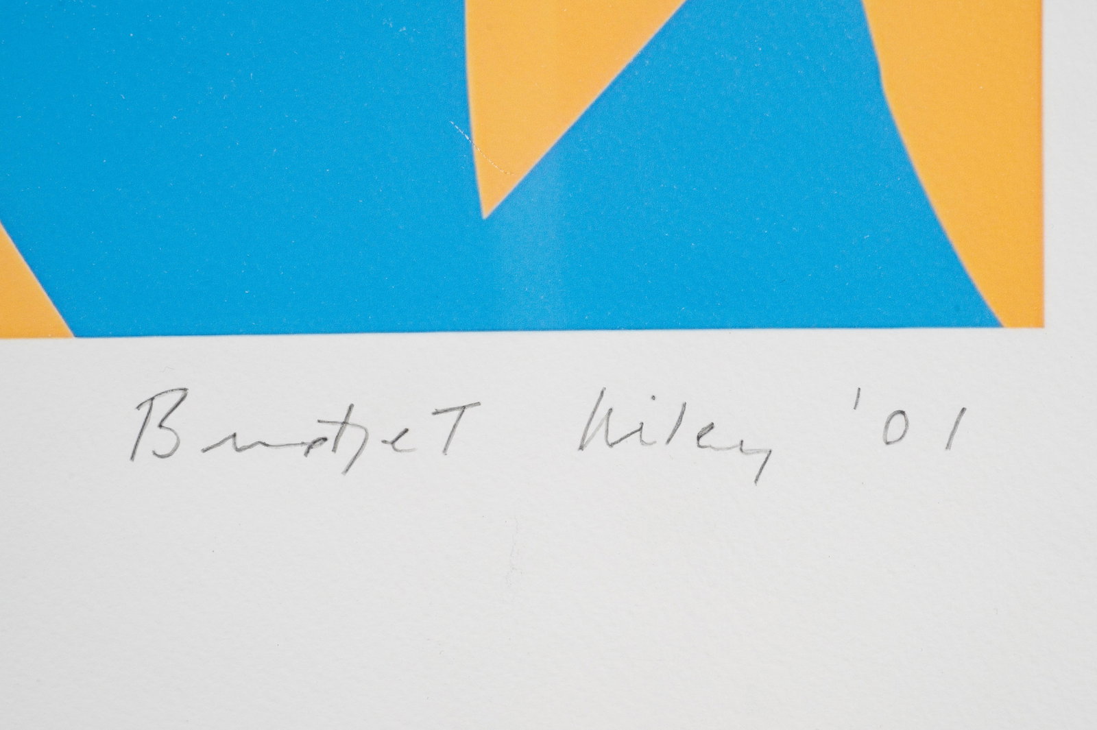 Going Across, Bridget Riley Screenprint. - 4