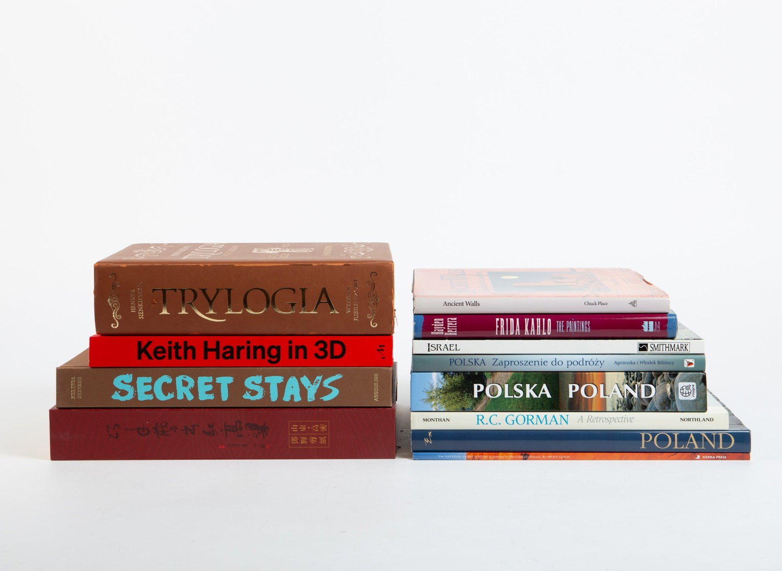 Lot of Hardcover Books- Art, etc.: This lot includes "Keith Haring in 3D", "Secret Stays- Pioneering Hosts of the New Chic", "Frida Kahlo- The Paintings", and more. There are some books about Poland, and a book of Chinese paper cutting