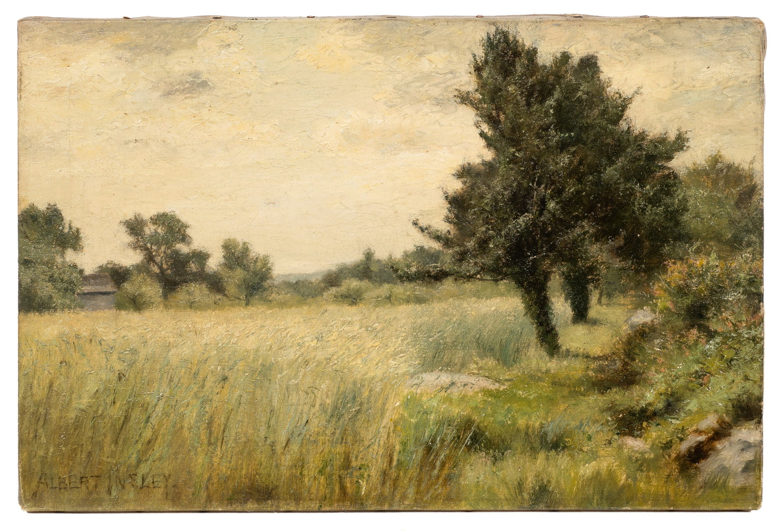 Landscape of Wooded Prairie, Albert Insley.: Artist(s): Albert Babb Insley (American, 1842-1937). Medium: Oil painting on canvas. Signature(s): Lower left. Paperwork/Provenance: N/A Condition: Unframed. There is age-related surface grime and