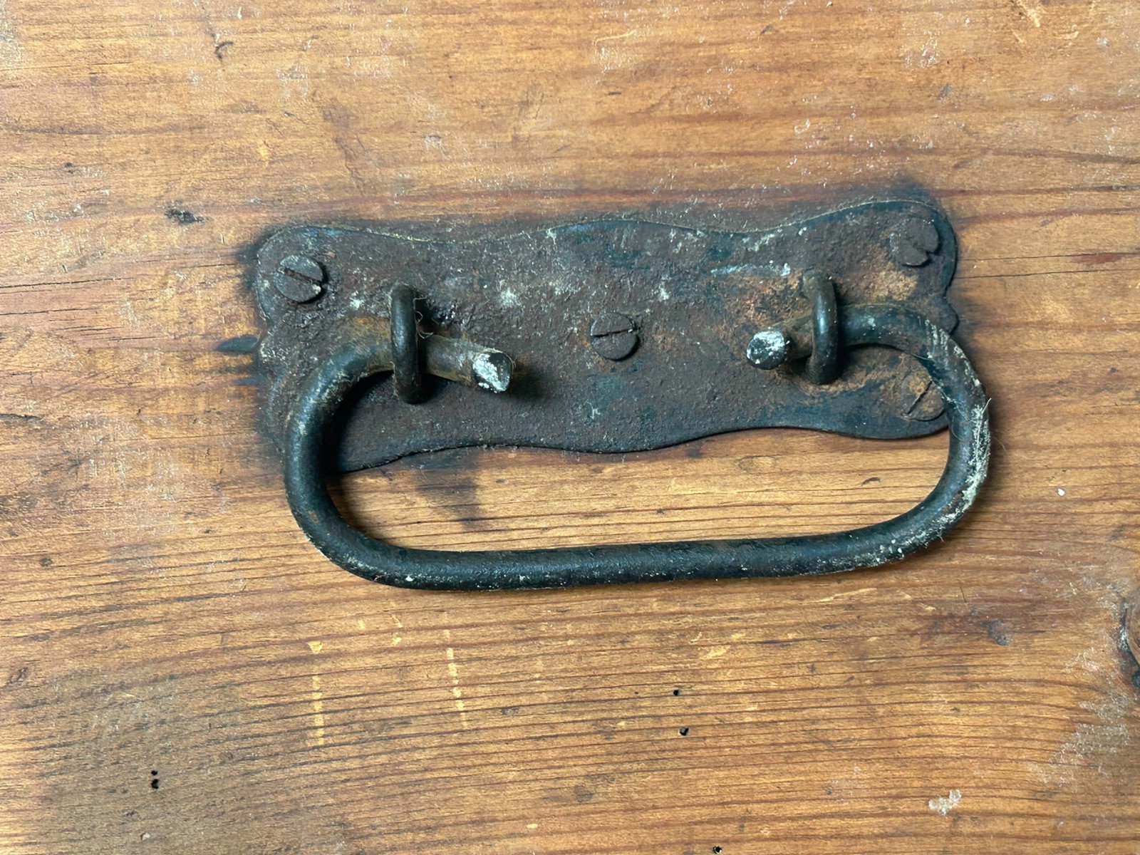 Primitive Trunk and Feed Bin. - 16