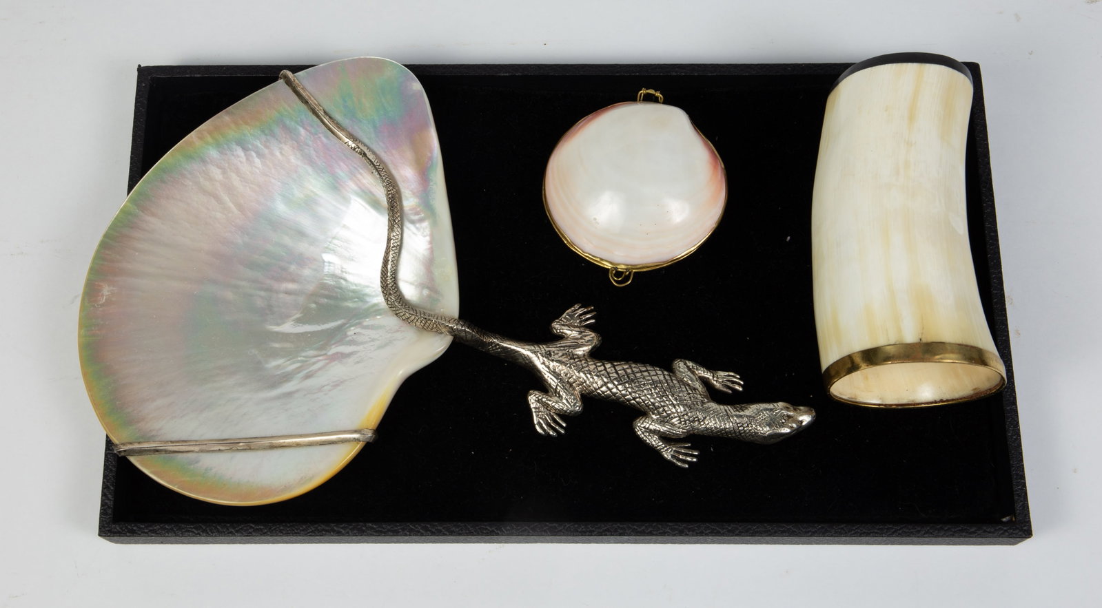 Lot: Lizard Caviar Dish, Horn Vase, Shell Box. (1 of 7)