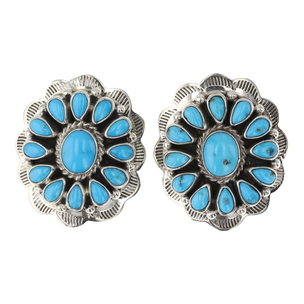 RB Navajo Kingman Turquoise Cluster Earrings (1 of 2)