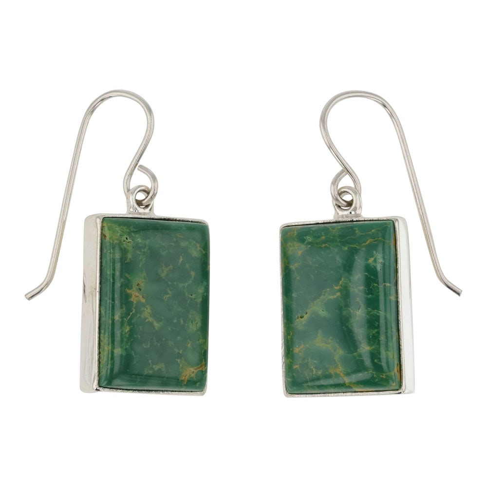 Chris Billie Navajo  Fox Turquoise Earrings (1 of 2)