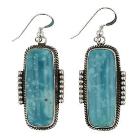 Carol Wyllie Navajo Fox Turquoise Earrings