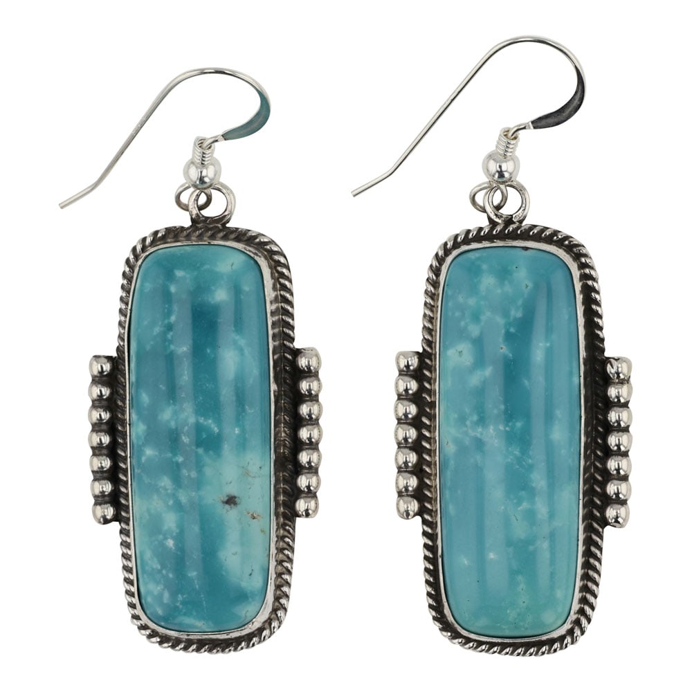 Carol Wyllie Navajo Fox Turquoise Earrings (1 of 2)