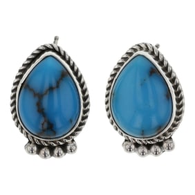 Etta Endito Navajo Spiderweb Turquoise Earrings